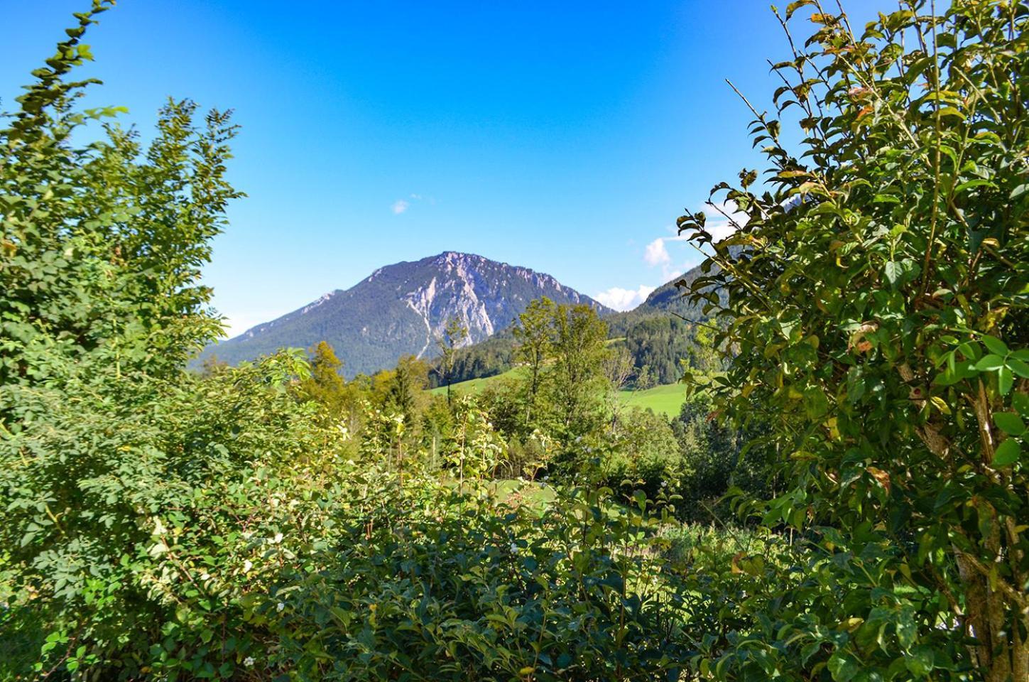 Apartament Almbauernhof Ruhpolding Zewnętrze zdjęcie