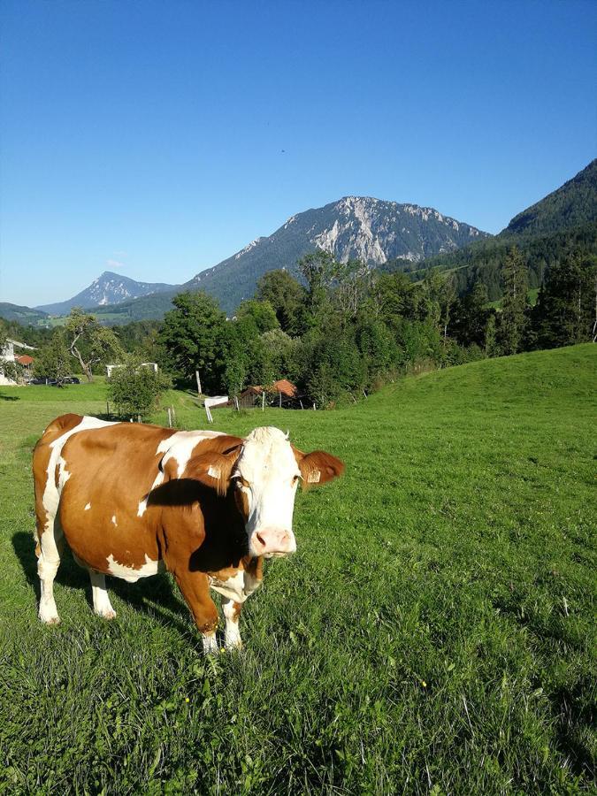 Apartament Almbauernhof Ruhpolding Zewnętrze zdjęcie